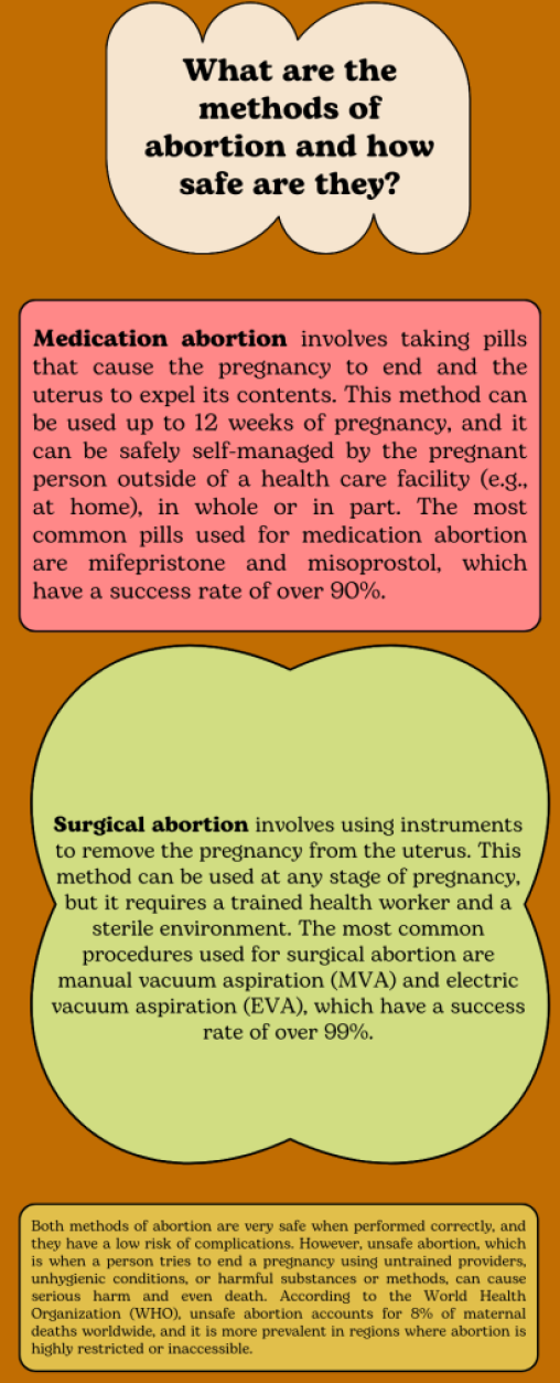 Brown-Light-Green-Pink-Shapes-and-Stickers-Pro-Choice-Education-Infographic-410x1024-508x1253